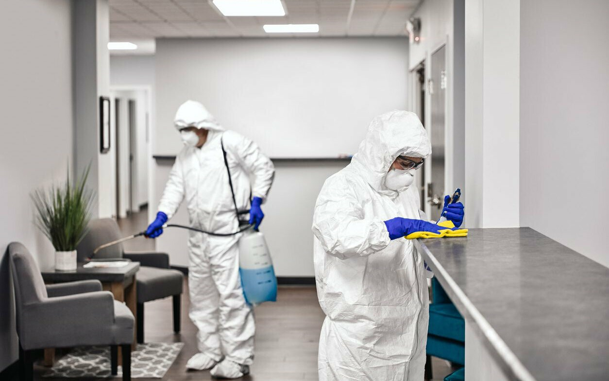 ФОТО Обработка офиса от вредителей в поселке Московской области Молодёжный | подробно