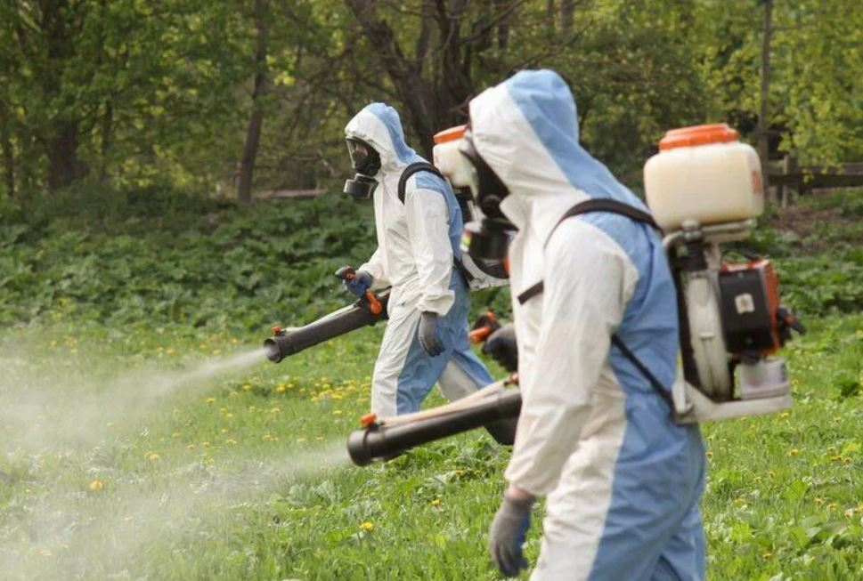 ФОТО Уничтожение клопов в поселке Московской области Молодёжный