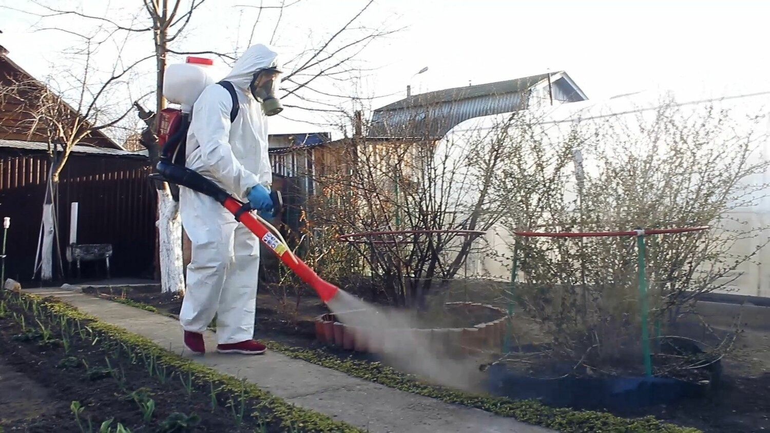 ФОТО Уничтожение муравьёв в поселке Московской области Молодёжный