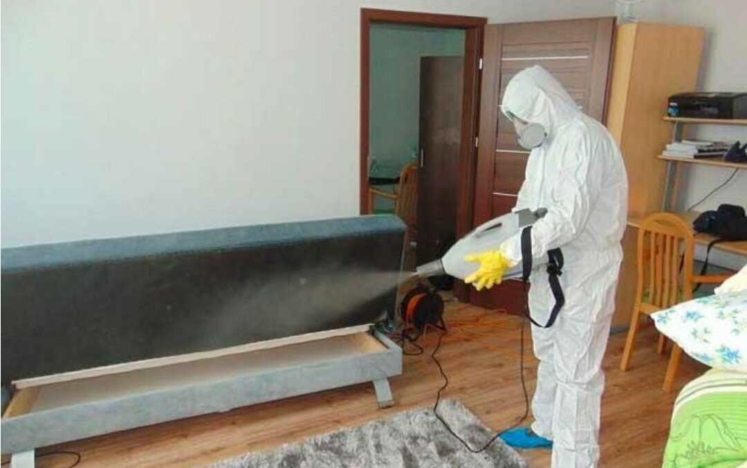 ФОТО Уничтожение блох в поселке Московской области Молодёжный