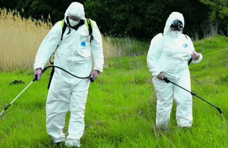 ФОТО Обработка от клещей в поселке Московской области Молодёжный