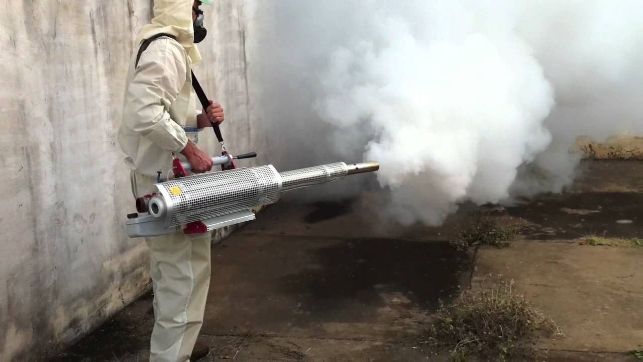 ФОТО Уничтожение мух в поселке Московской области Молодёжный