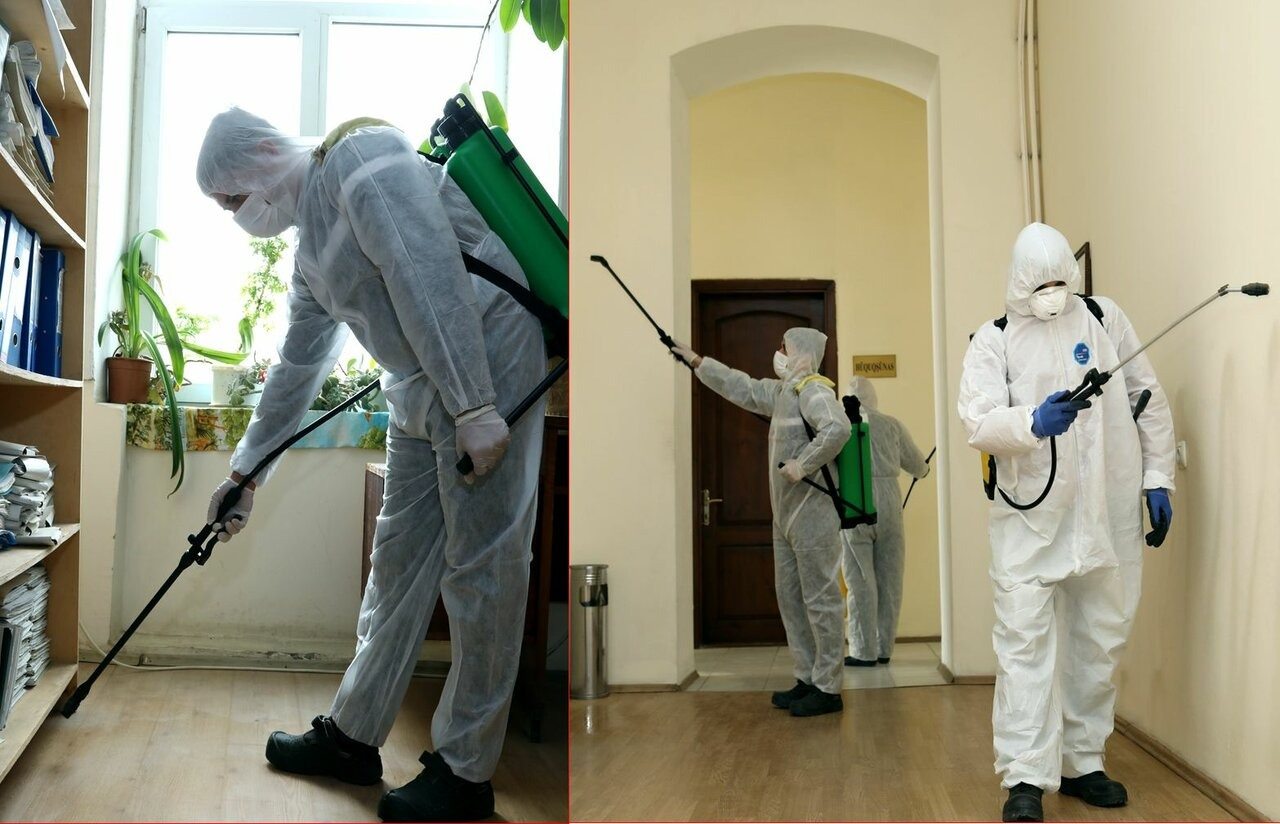 ФОТО Требуется ли лицензия для дезинсекции и дезинфекции в поселке Московской области Молодёжный? | подробно