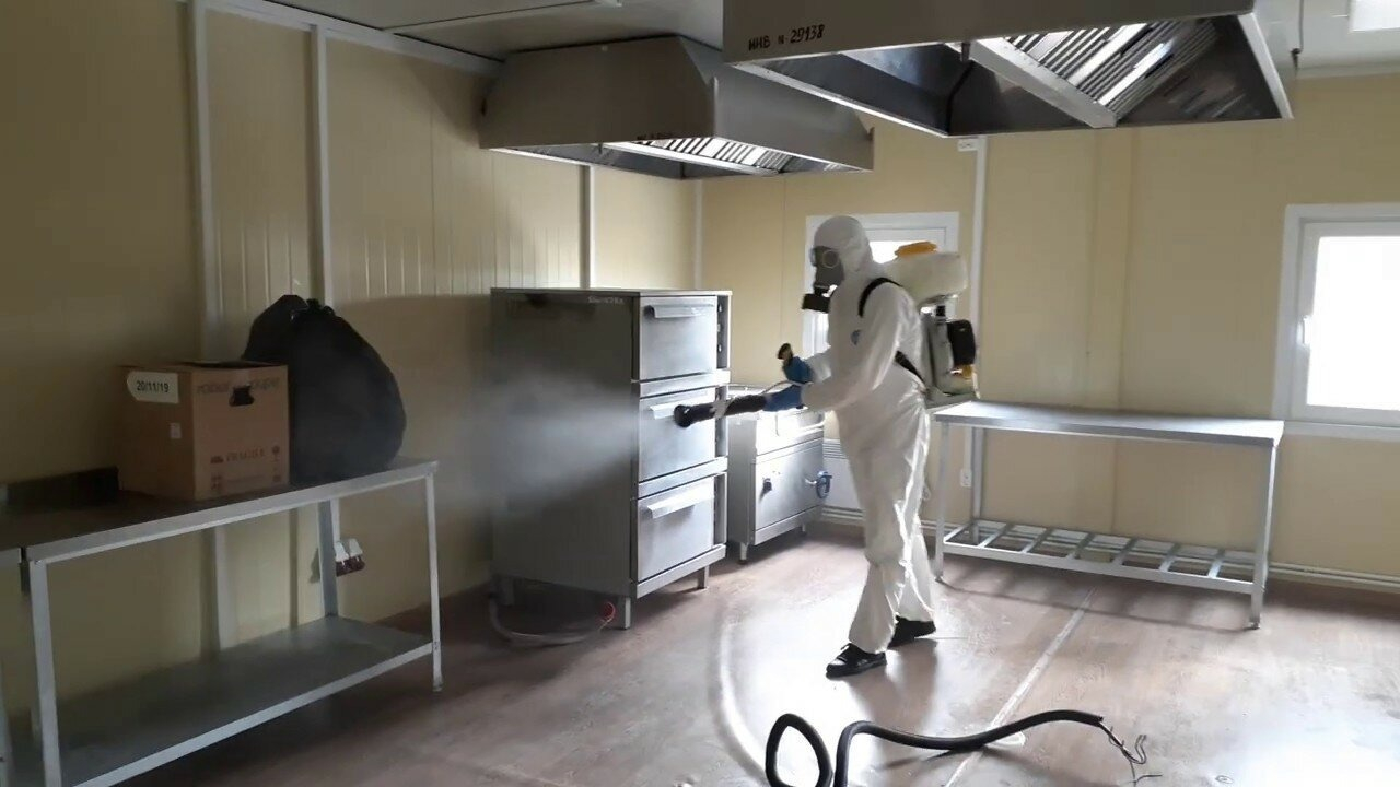 ФОТО Можно ли провести дезинсекцию самостоятельно и какие существуют риски в поселке Московской области Молодёжный? | подробно