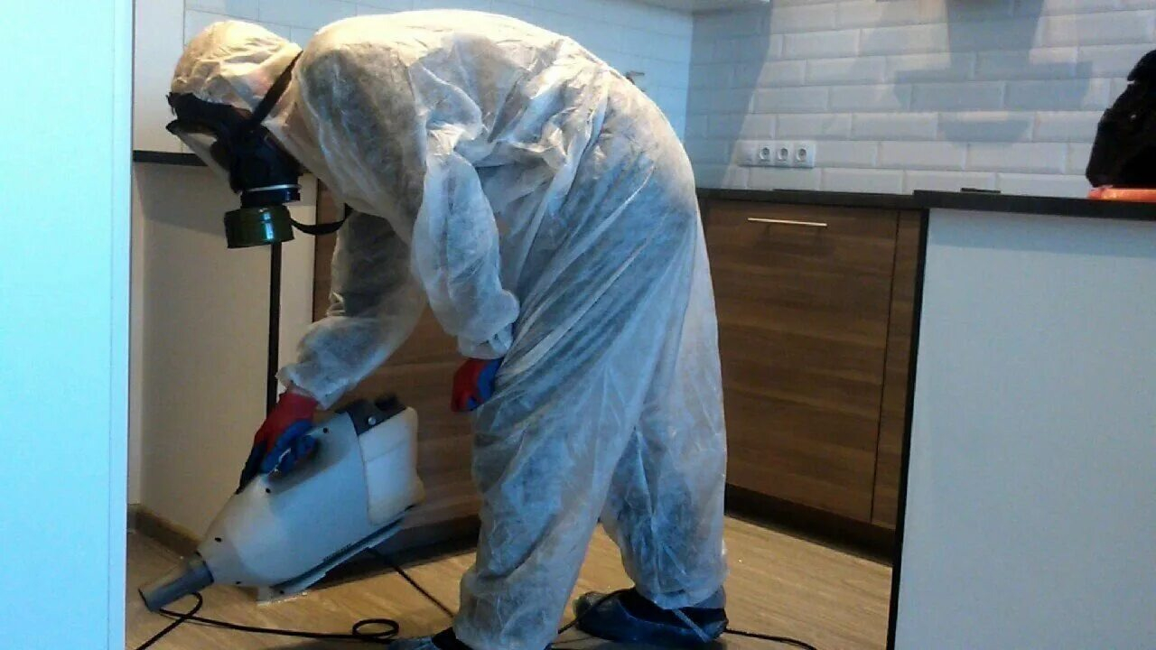 ФОТО Как подготовить домашних животных к обработке от насекомых в поселке Московской области Молодёжный? | подробно