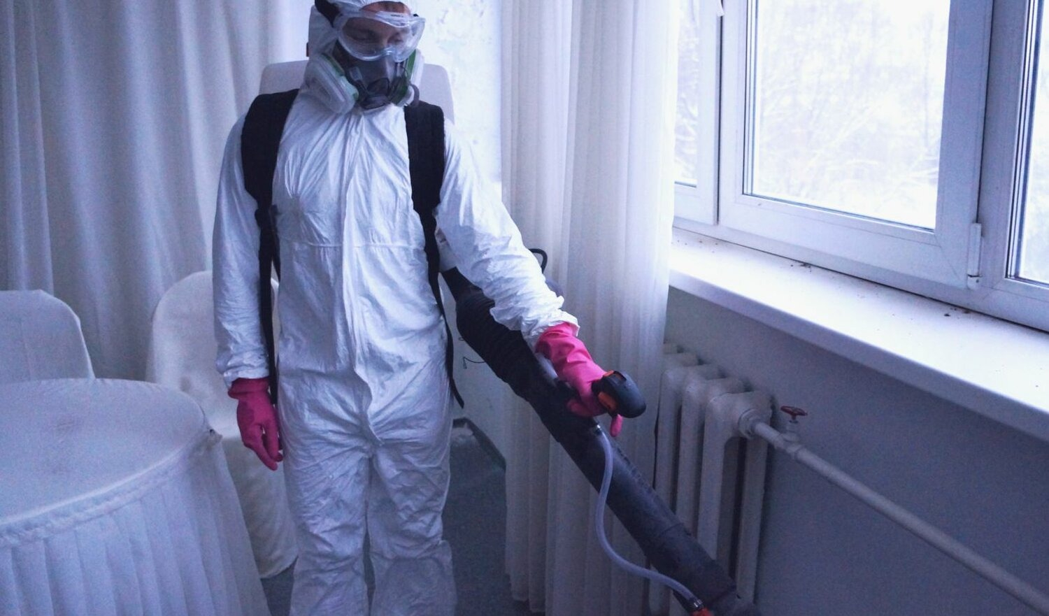 ФОТО Нужно ли выносить растения при дезинсекции в поселке Московской области Молодёжный? | подробно