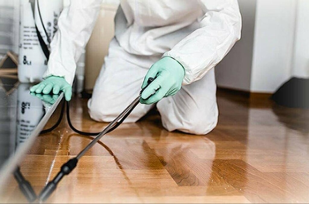 ФОТО Как подготовить вентиляцию при предстоящей дезинсекции в поселке Московской области Молодёжный?