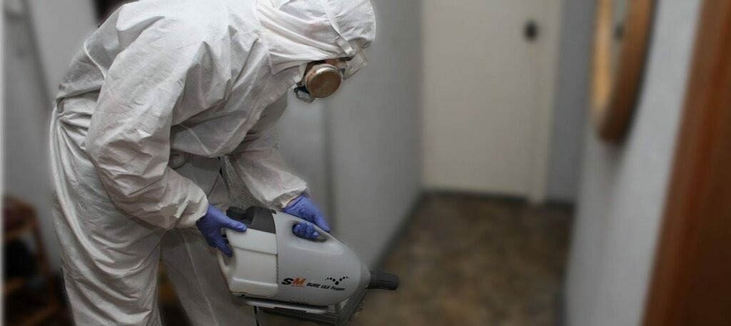 ФОТО Остаются ли следы после обработки квартиры от насекомых в поселке Московской области Молодёжный? | подробно