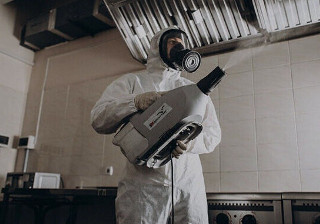 ФОТО Как проветривать помещение после обработки от насекомых в поселке Московской области Молодёжный? | подробно