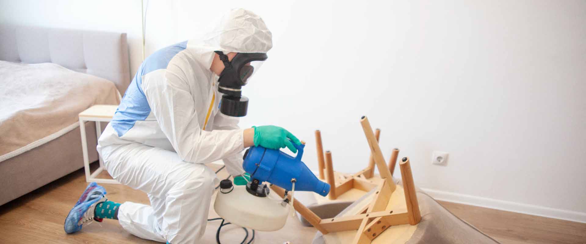 фото: Уничтожение постельных клопов с 1-го раза с гарантией за 30-60 мин. в поселке Московской области Молодёжный без предоплаты