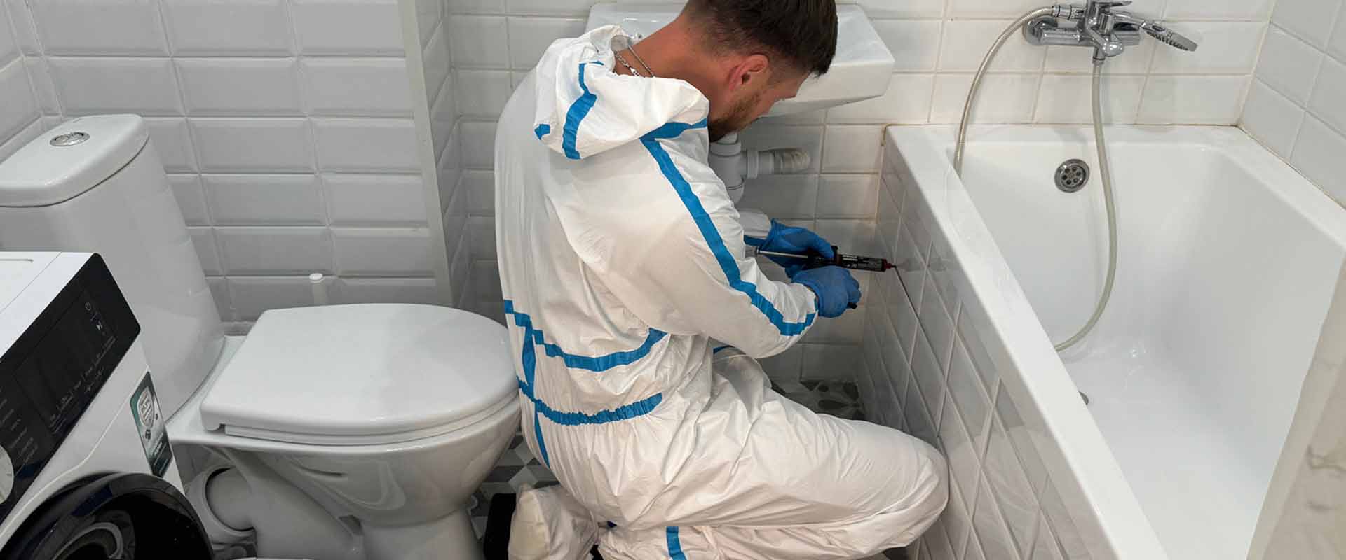 фото: Уничтожение тараканов навсегда с 1-го раза с гарантией за 30-60 мин. в поселке Московской области Молодёжный