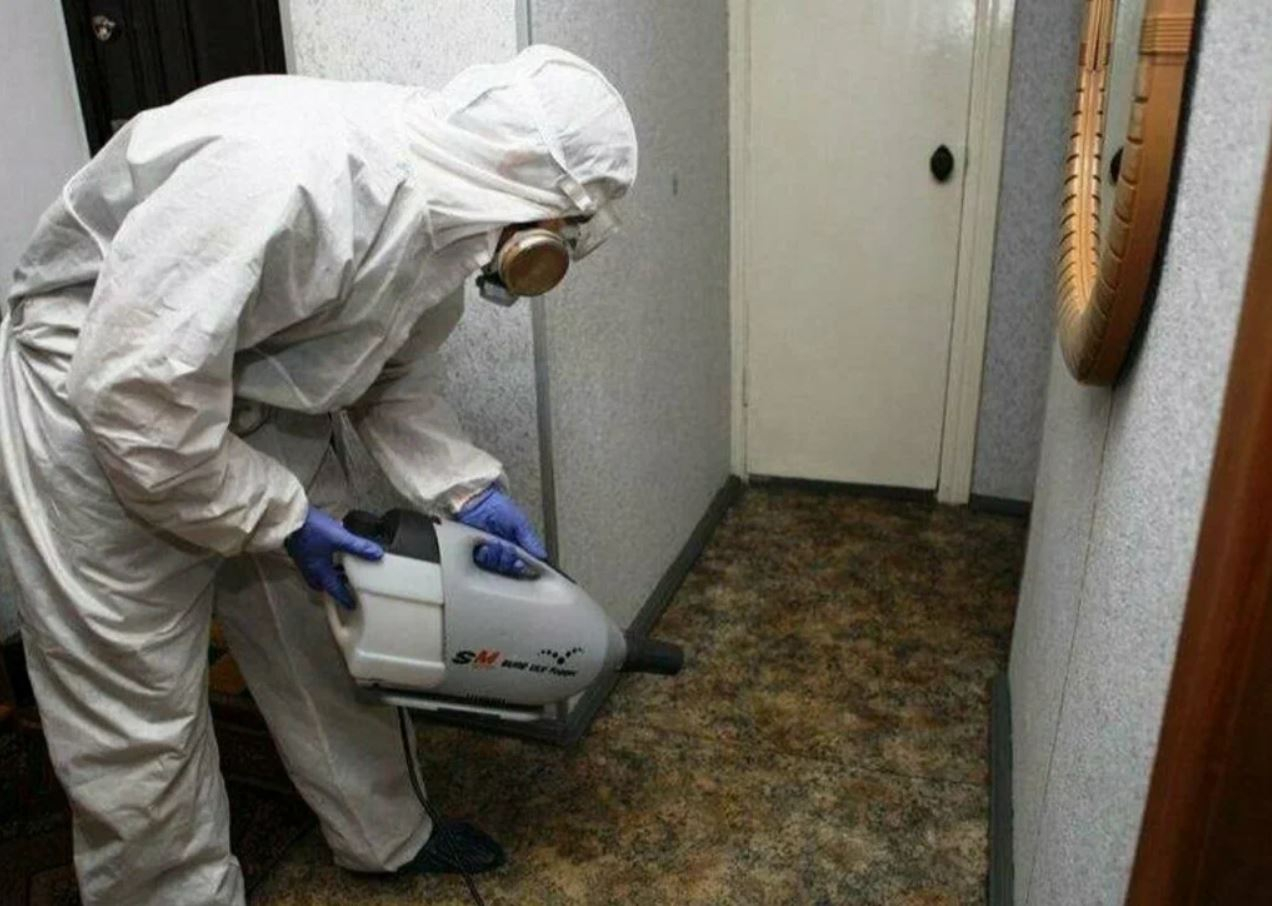 фото: Профессиональная дезинсекция в поселке Московской области Молодёжный: <br/>+7-909-173-42-96